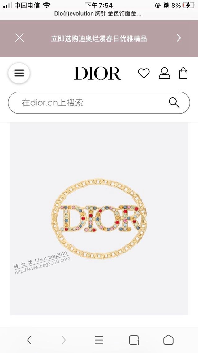 Dior飾品 2021新款DIOR迪奧字母胸針胸花  zgd1211